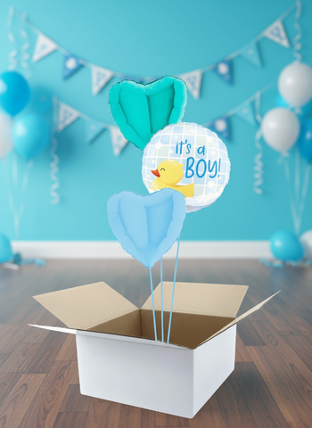 Triobox- Baby Boy Duckie