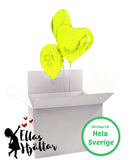 Heliumbukett i låda- Ellas Hjärtan Flera färgalternativ