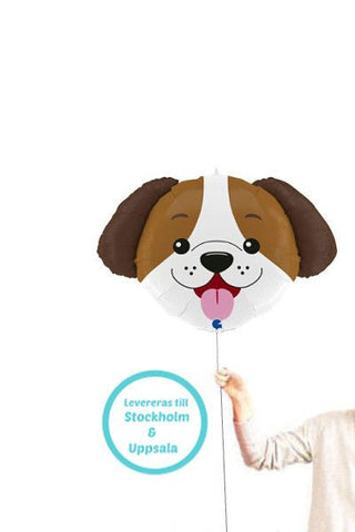 Singelballong Doggie - Ballongbud.se