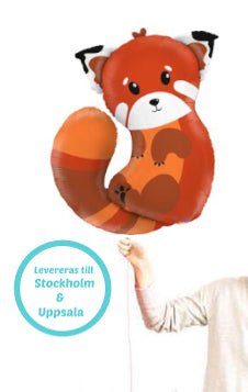 Singelballong Red Panda - Ballongbud.seSingelballong
